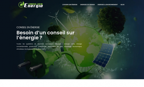 https://www.conseil-local-energie.com